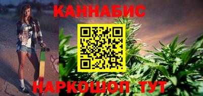 индика Сланцы