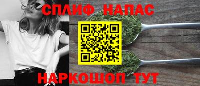индика Сланцы