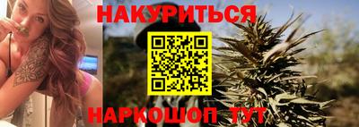 индика Сланцы