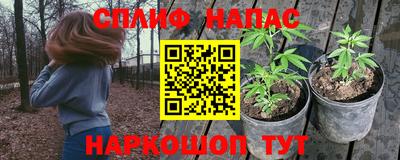 молекула духа Славгород