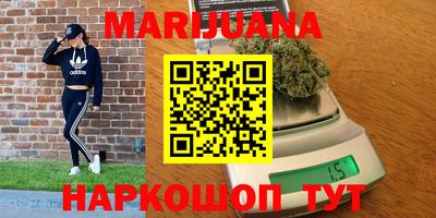 индика Сланцы