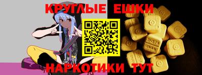 индика Сланцы