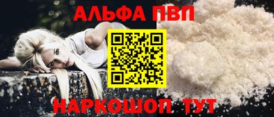 индика Сланцы