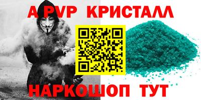 индика Сланцы