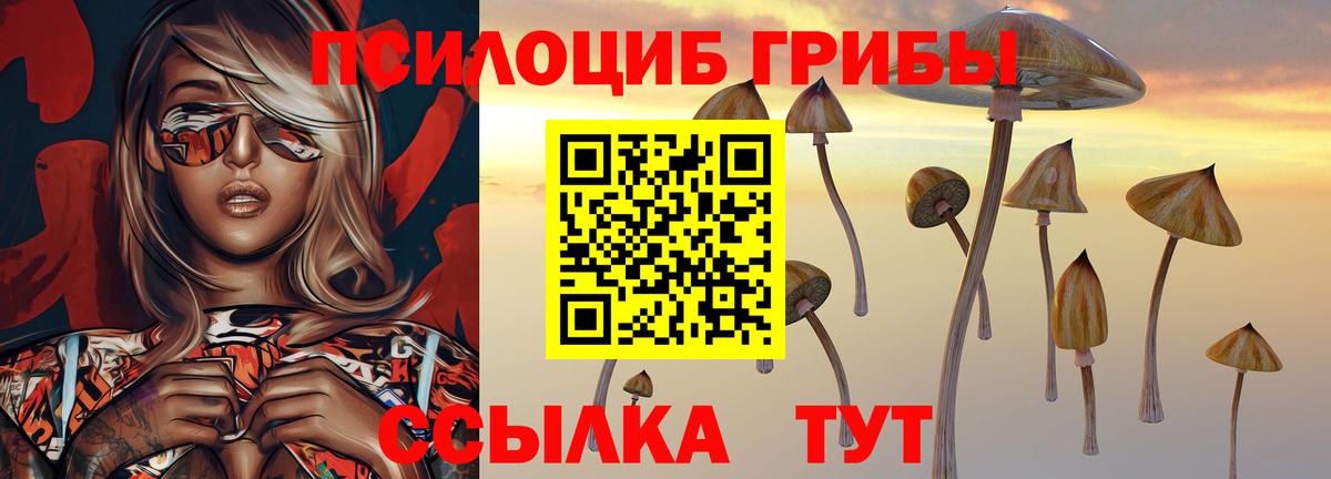 Галлюциногенные грибы Magic Shrooms Новочеркасск